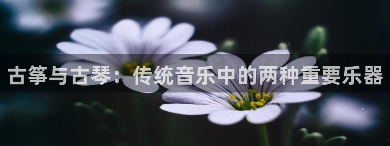 凯发国际网站官网