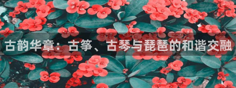 凯发k8国际官网可靠吗：古韵华章：古筝、古琴与琵琶的和谐交融