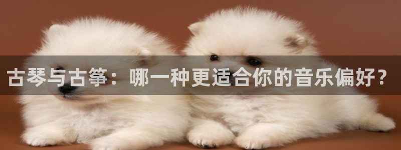 凯发网娱乐官网国际