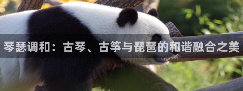 凯发旗舰