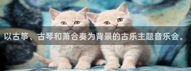 凯发国际网站官网