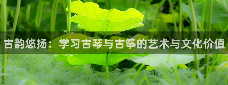 凯发k8国际真人版安全送38元