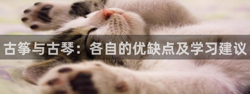 凯发国际网站
