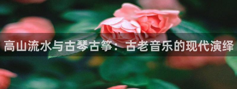 凯发k8娱乐|k808.vip