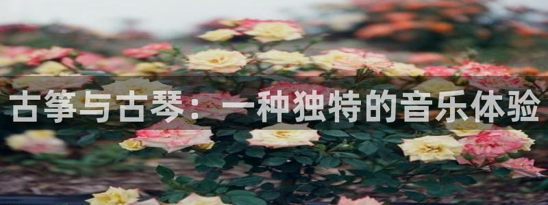 凯发首页