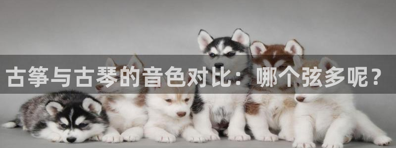 凯发k8国际真人娱乐手机app