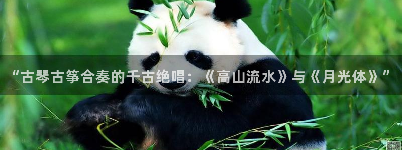 凯发k8娱乐手机版官网