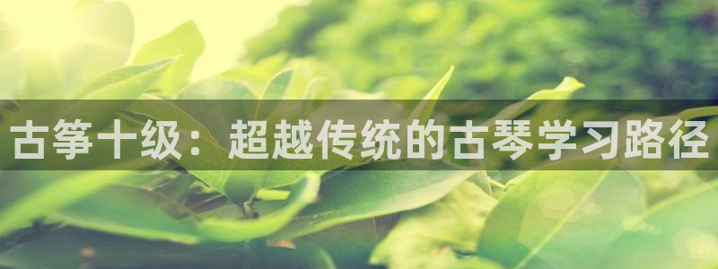 凯发k8国际首页登录：古筝十级：超越传统的古琴学习路径