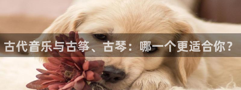 凯发k8旗舰厅手机app下载：古代音乐与古筝、古琴：哪一个更