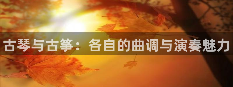 凯发娱乐官网登录：古琴与古筝：各自的曲调与演奏魅力