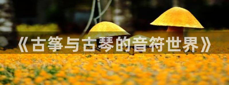 凯发k8登录首页：《古筝与古琴的音符世界》