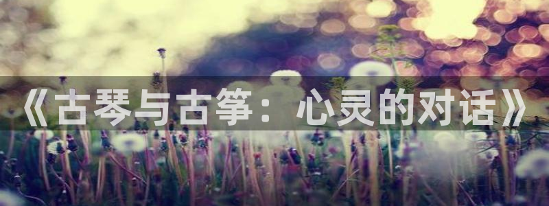 凯发k8国际真人娱乐旗舰厅：《古琴与古筝：心灵的对话》