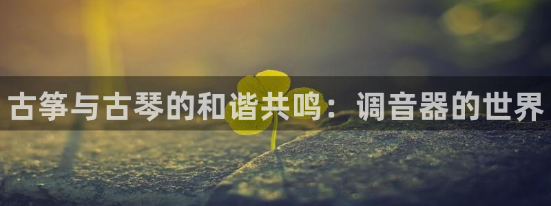 凯发国际网络平台网址：古筝与古琴的和谐共鸣：调音器的世界