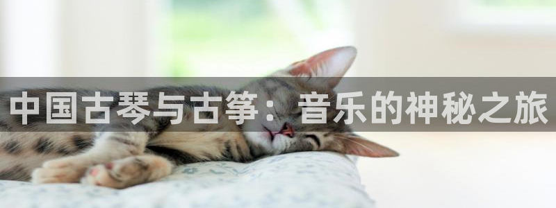 凯发k8国际手机网页