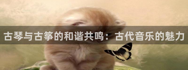 凯发官方网站是多少