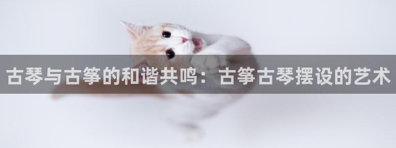 凯发k8娱乐官网手机端中心