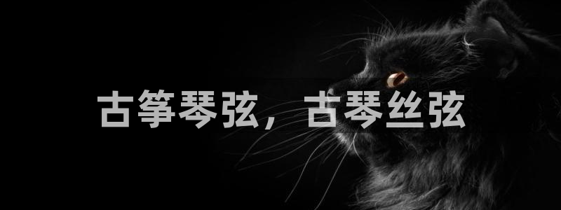 凯发娱乐k8国际：古筝琴弦，古琴丝弦