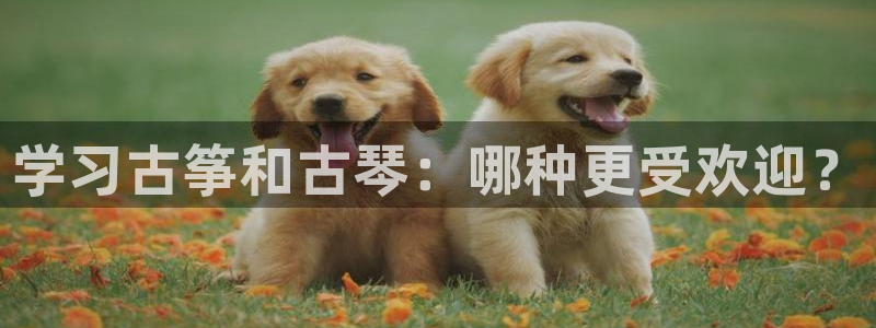 凯发国际平台官网