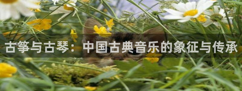 凯发就来凯发天生赢家一触即发