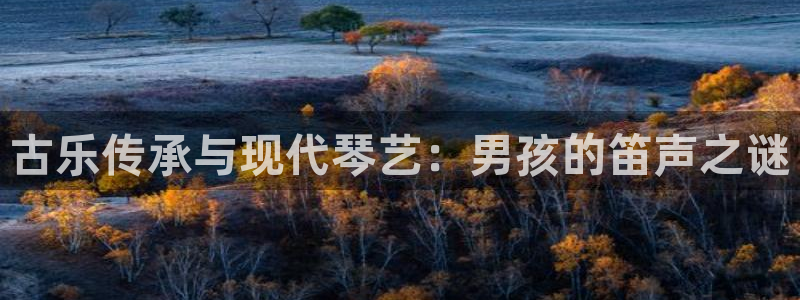 凯发旗舰平台：古乐传承与现代琴艺：男孩的笛声之谜