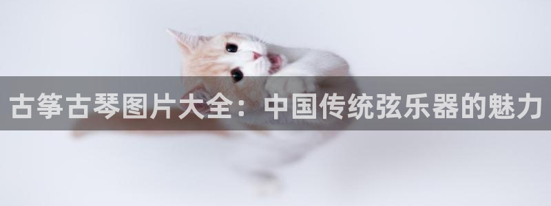 凯发k8555|手机版