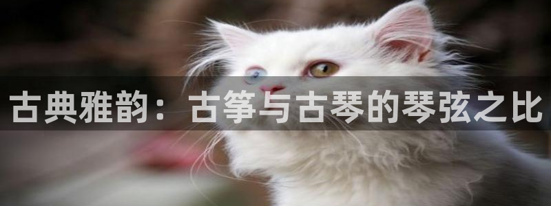 凯发注册平台安卓版下载：古典雅韵：古筝与古琴的琴弦之比