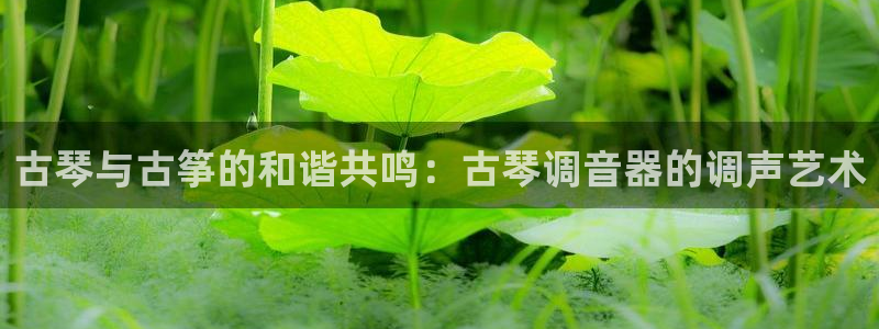 凯发官方首页：古琴与古筝的和谐共鸣：古琴调音器的调声艺术